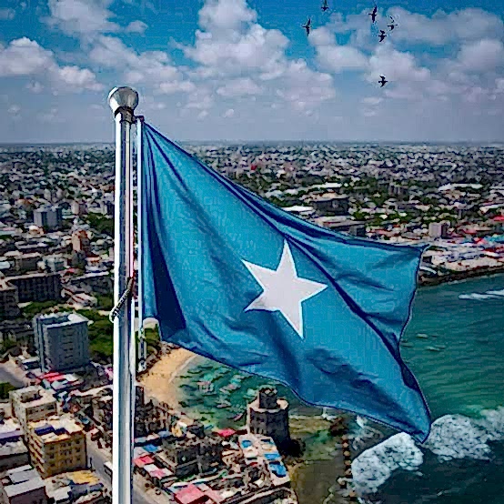 Somali Ambulans Uçak